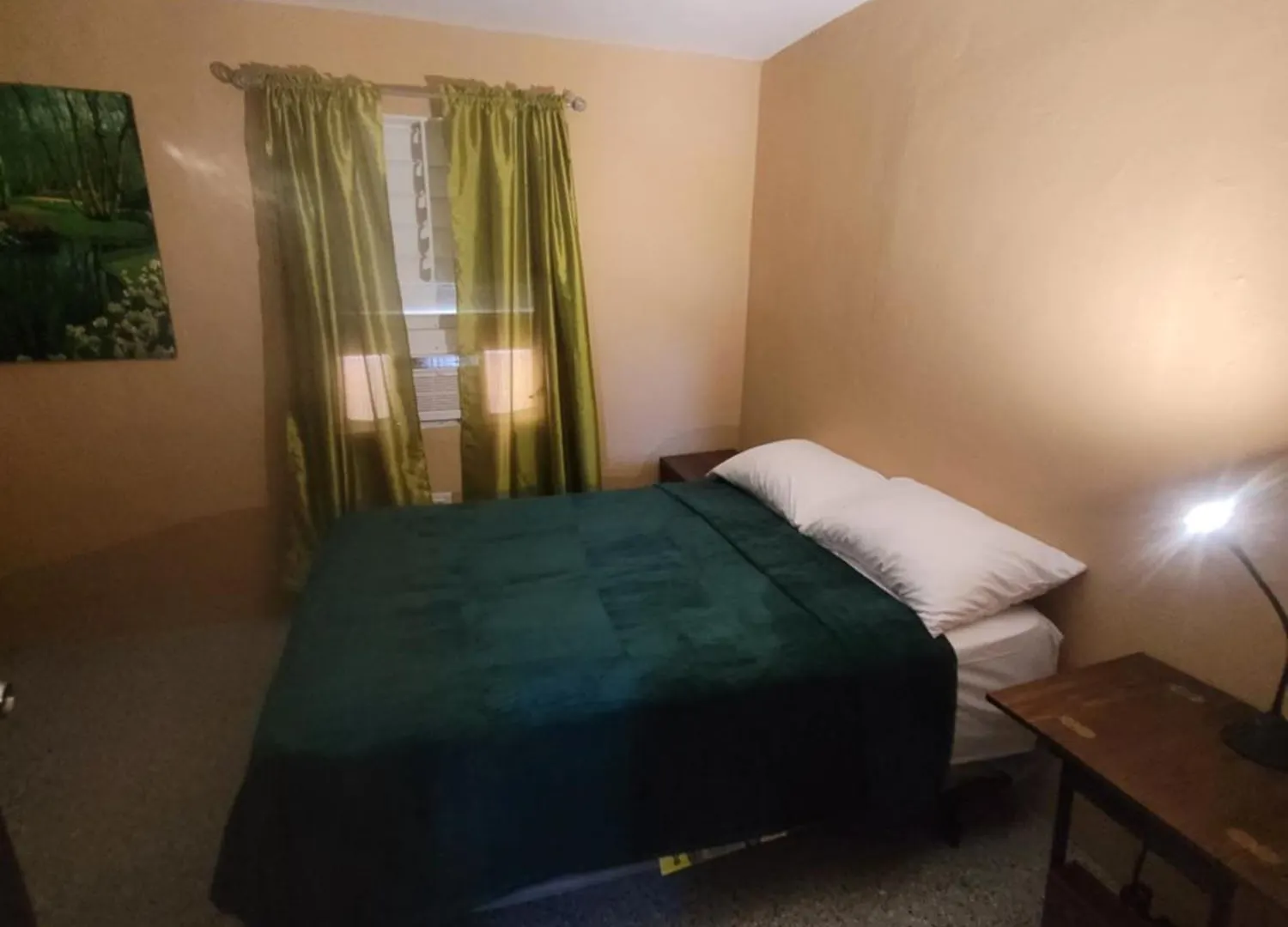 Feriehus Hidden Gem Villa Arecibo Puerto Rico
